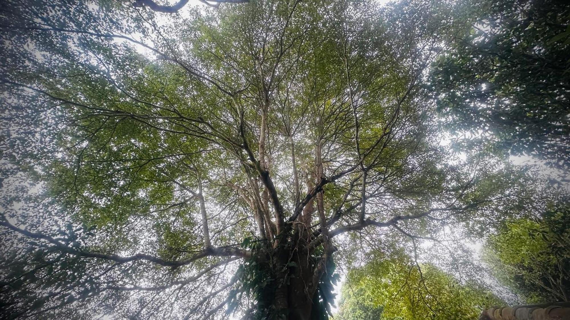 บ้านภทรพรรณ ขุนยวม แม่ฮ่องสอน Ban Pataraphan Khunyuam Maehongson Thailand Ban Khun Yuam エクステリア 写真